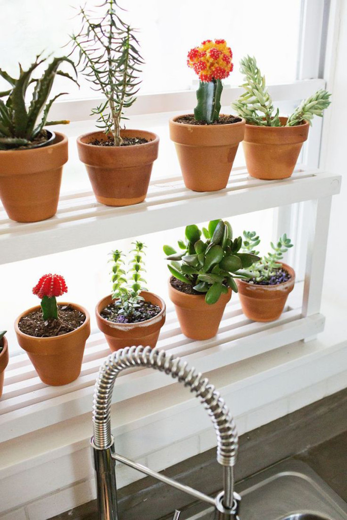 DIY Ιδέες Βότανο κήπων Παραθύρων για την κουζίνα σας12