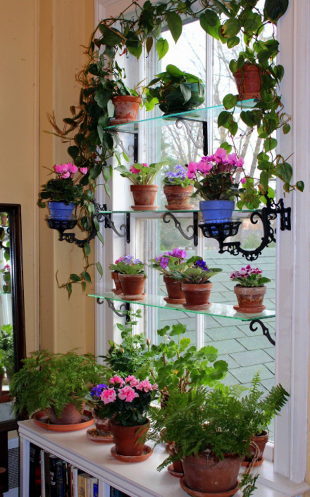 DIY Ιδέες Βότανο κήπων Παραθύρων για την κουζίνα σας13