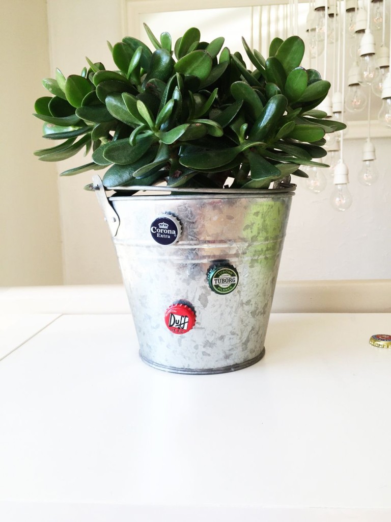 diy-%ce%b1%cf%80%cf%8c-%ce%ba%ce%b1%cf%80%ce%ac%ce%ba%ce%b9%ce%b1-%ce%bc%cf%80%ce%bf%cf%85%ce%ba%ce%b1%ce%bb%ce%b9%cf%8e%ce%bd8