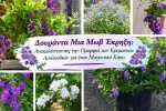 Δουράντα Μια Μωβ Έκρηξη: Ανακαλύπτοντας την Ομορφιά και την Φροντίδα των Κρεμαστών Λουλουδιών της, για έναν Μαγευτικό Κήπο