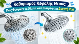 Καθαρισμός τηλεφώνου ντους: Πώς να αφαιρέσετε τα άλατα