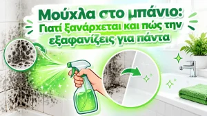 Μούχλα στο μπάνιο: Γιατί ξανάρχεται και πώς την εξαφανίζεις για πάντα